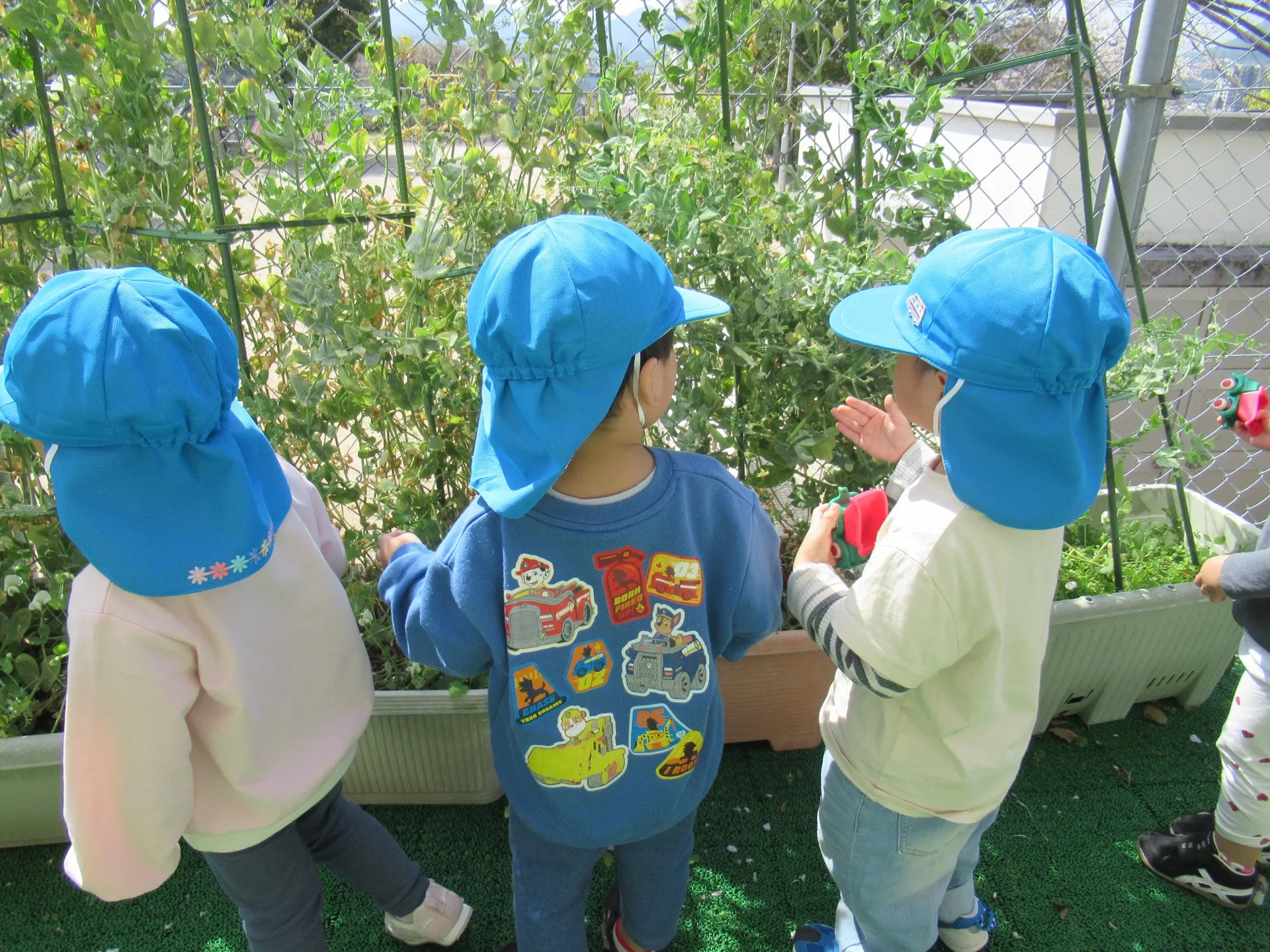 ゆり組　みんなと同じ帽子になったよ✨