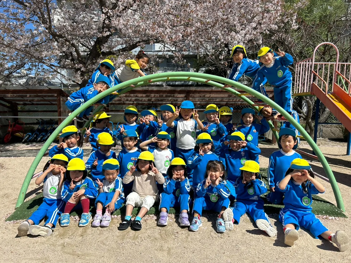 さくらB組　🌸桜の中のB組さん🌸